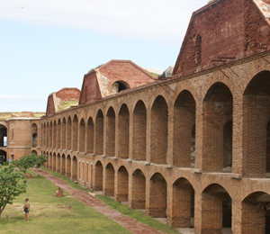 Dry Tortugas Enviromental News