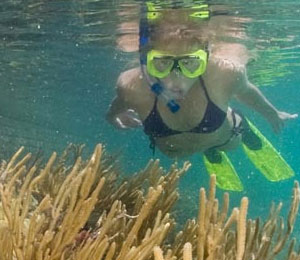 Snorkeling at Fort Jefferson